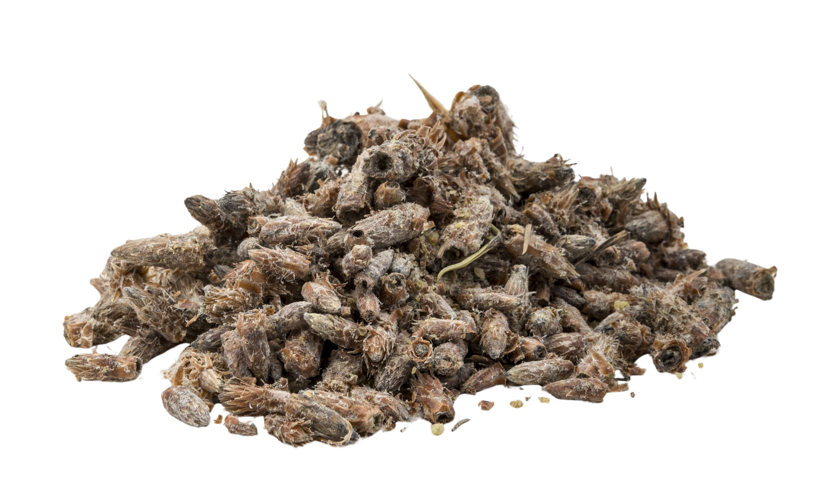 Pine Buds - 1.2 oz (35 g) - Dried Buds to Support Respiratory & Seasonal Wellness
