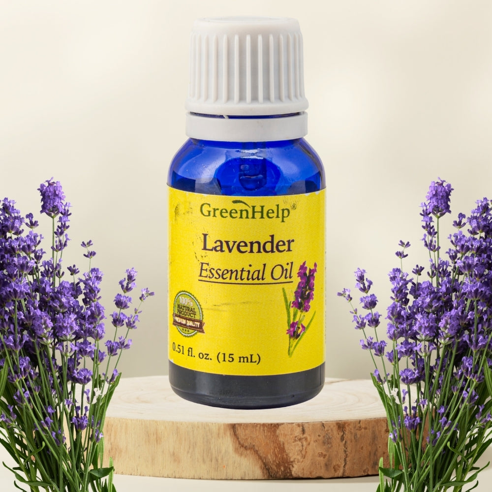 lavender essential oil on plants Lavender Essential Oil - 0.51 fl oz - Calming Aromatherapy for Stress,