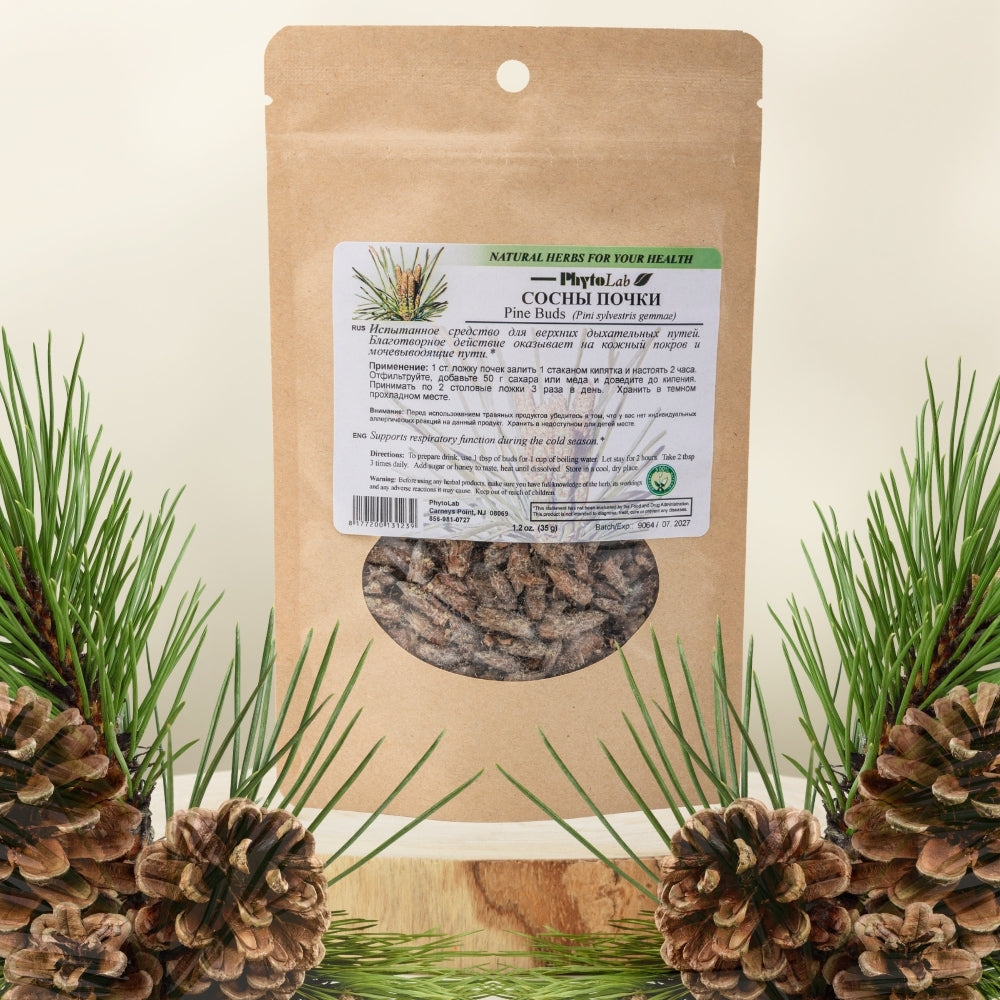 Pine Buds
