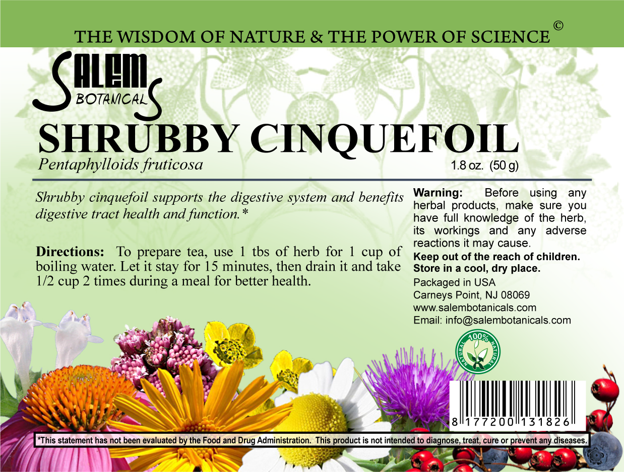 Shrubby Cinquefoil