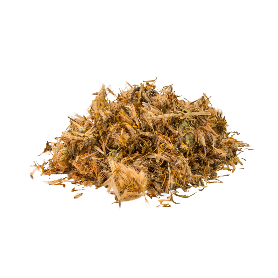 Arnica