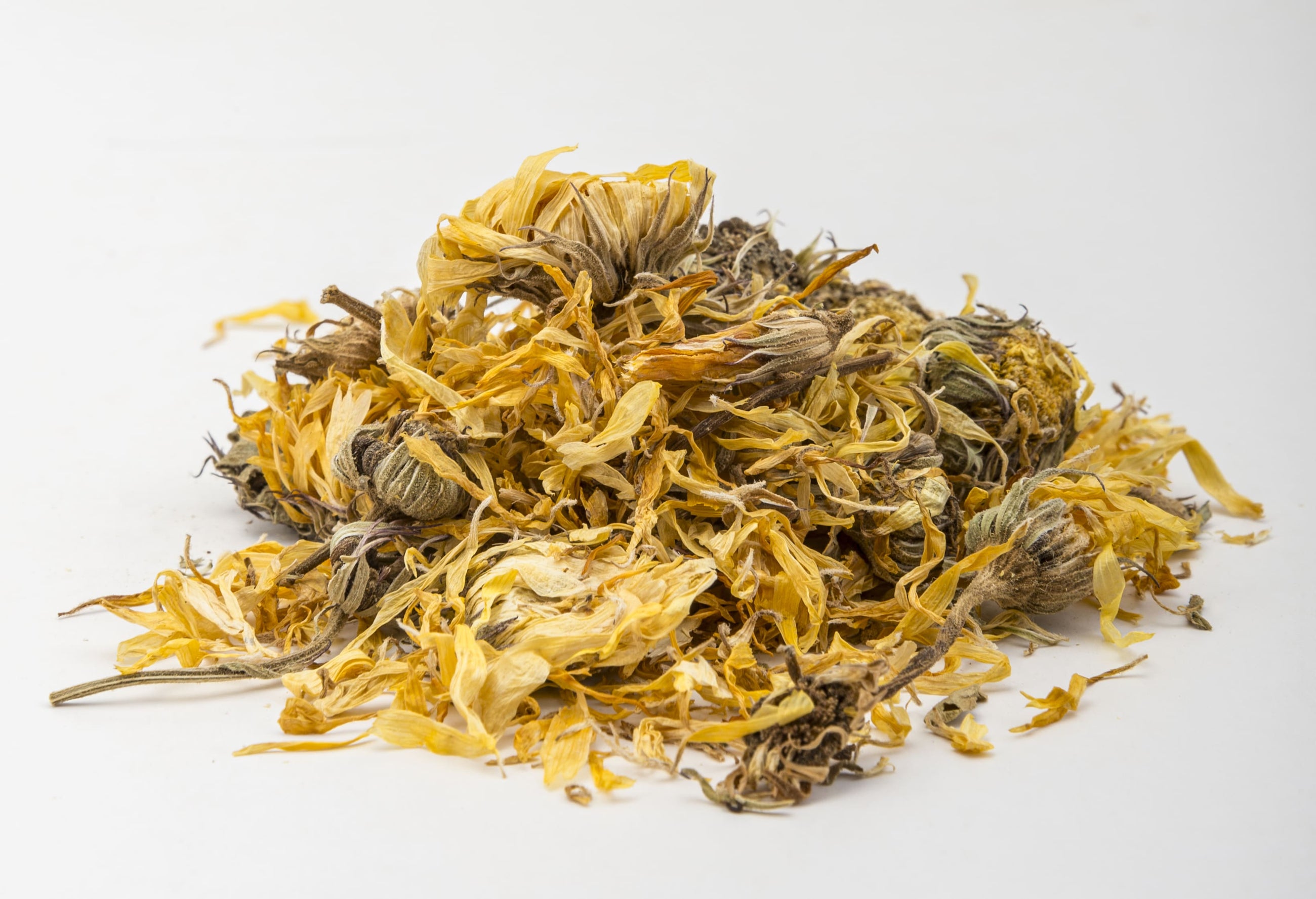 Calendula Flower