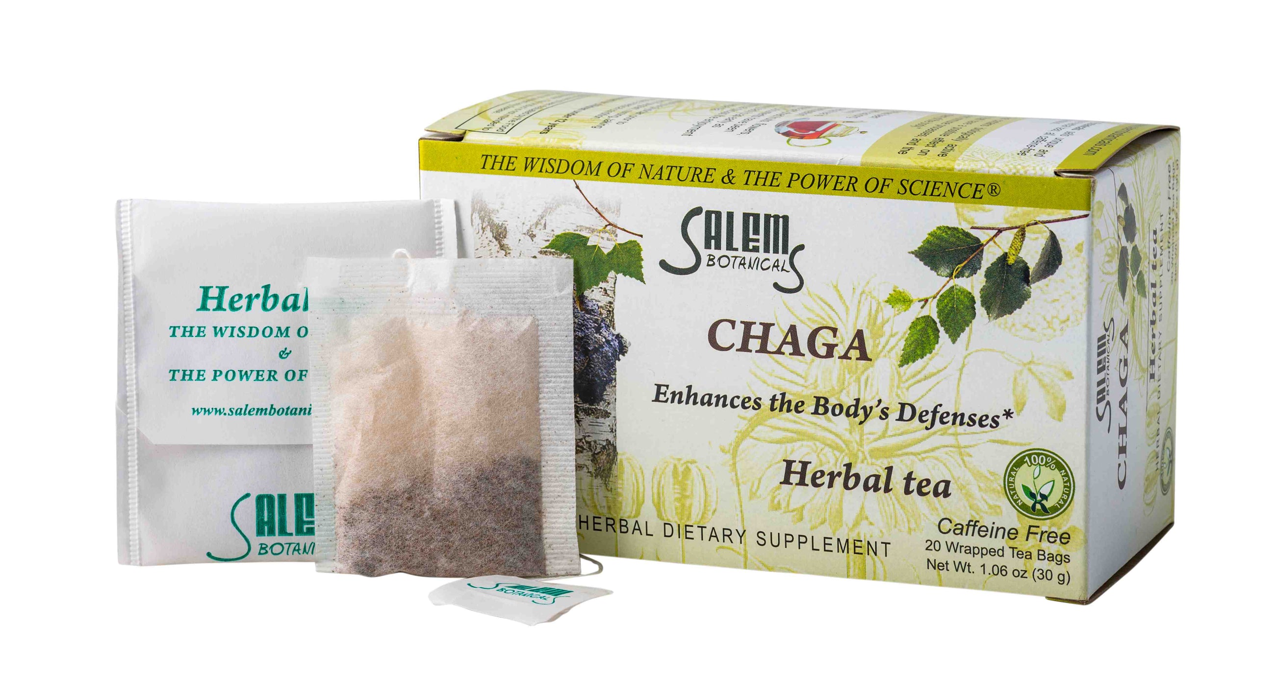 Chaga Tea for Immunity Support - Single Pack of 20 Tea Bags