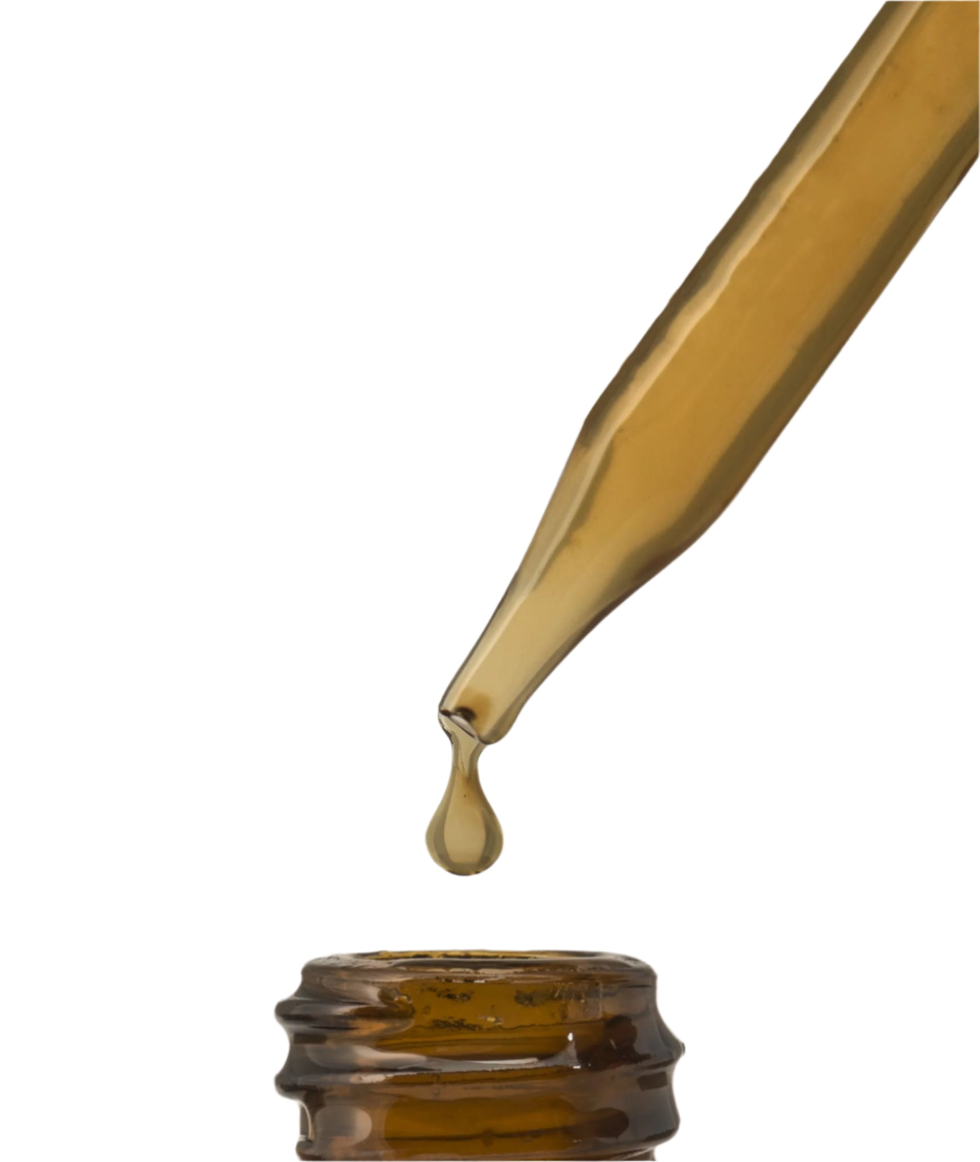 Eucalyptus Liquid Extract