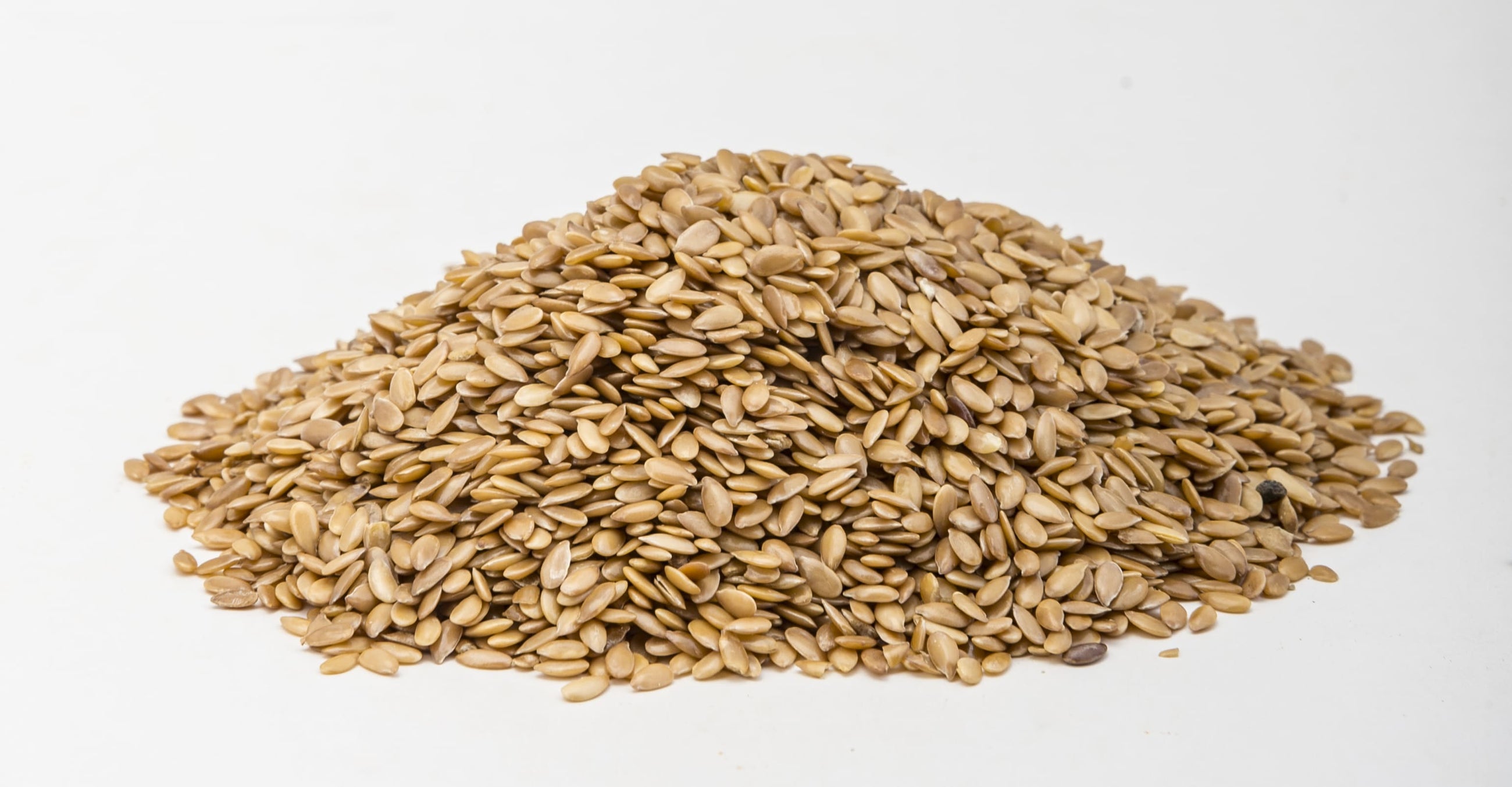 Flax Seed
