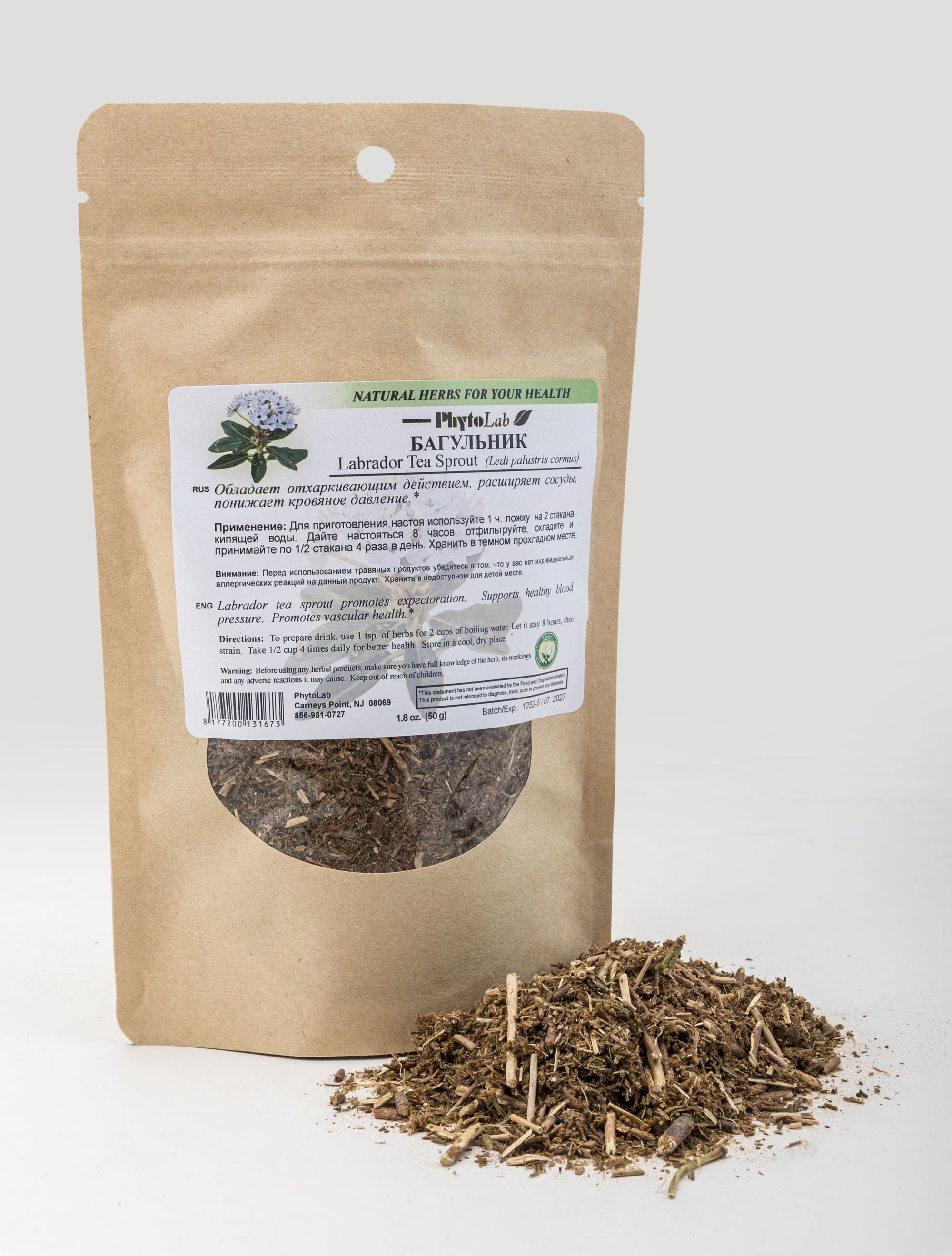 Labrador Tea Sprout
