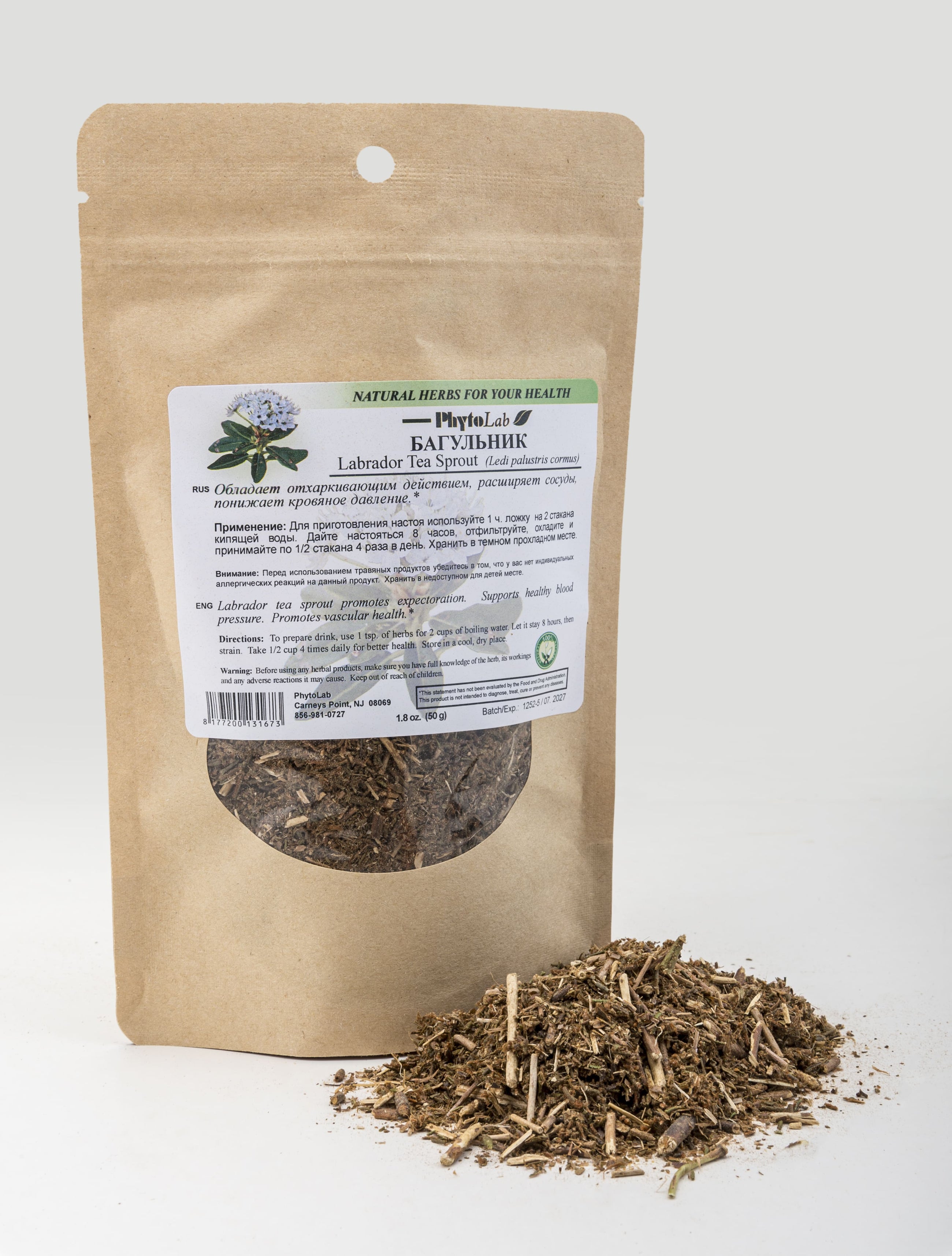 Labrador Tea Sprout