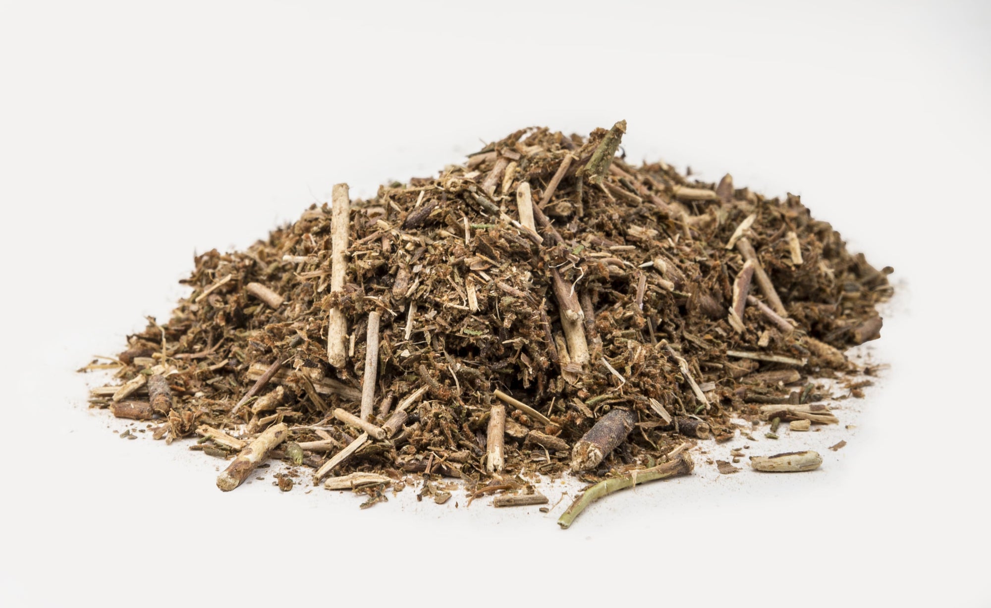 Labrador Tea Sprout