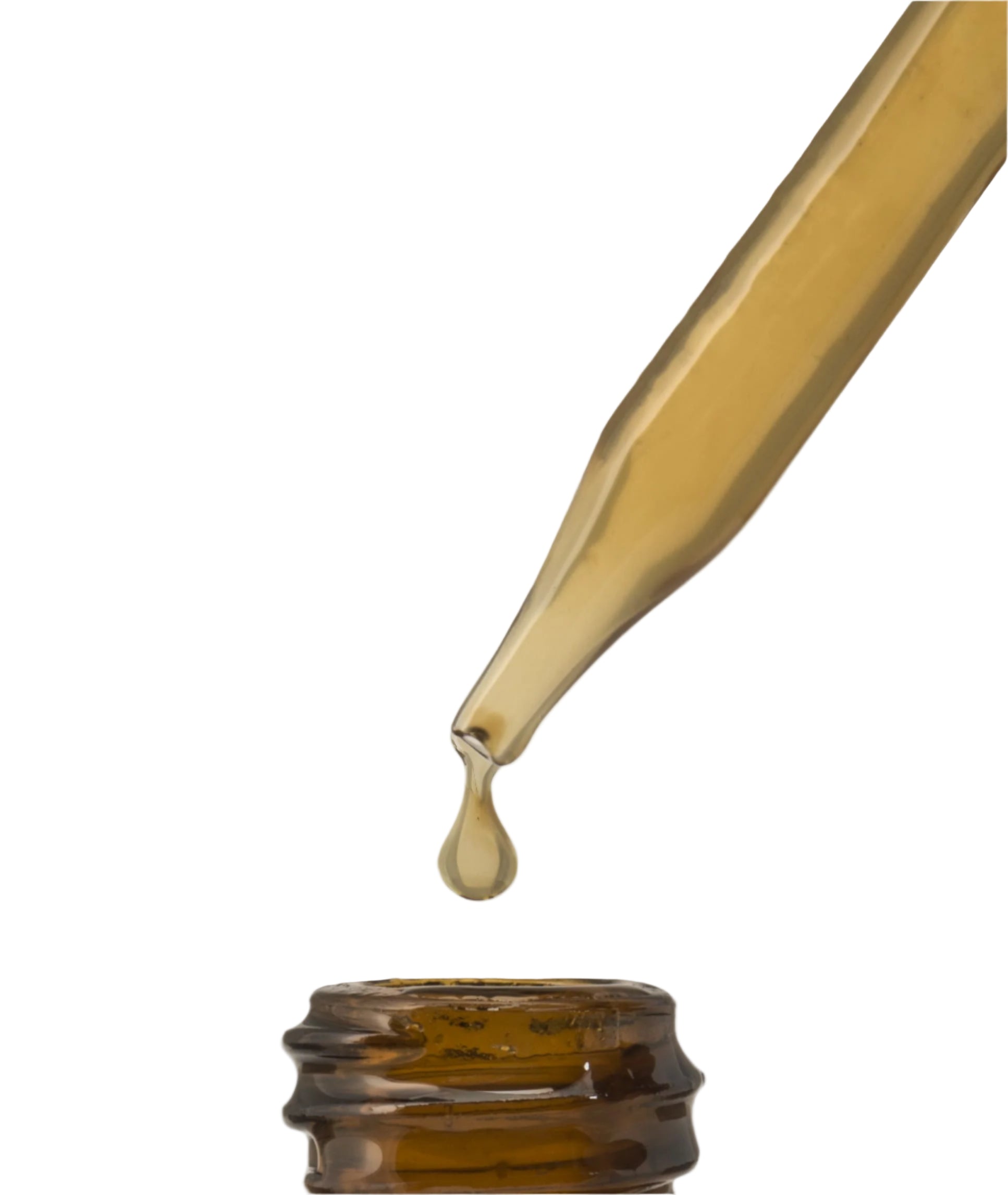 Echinacea Liquid Extract