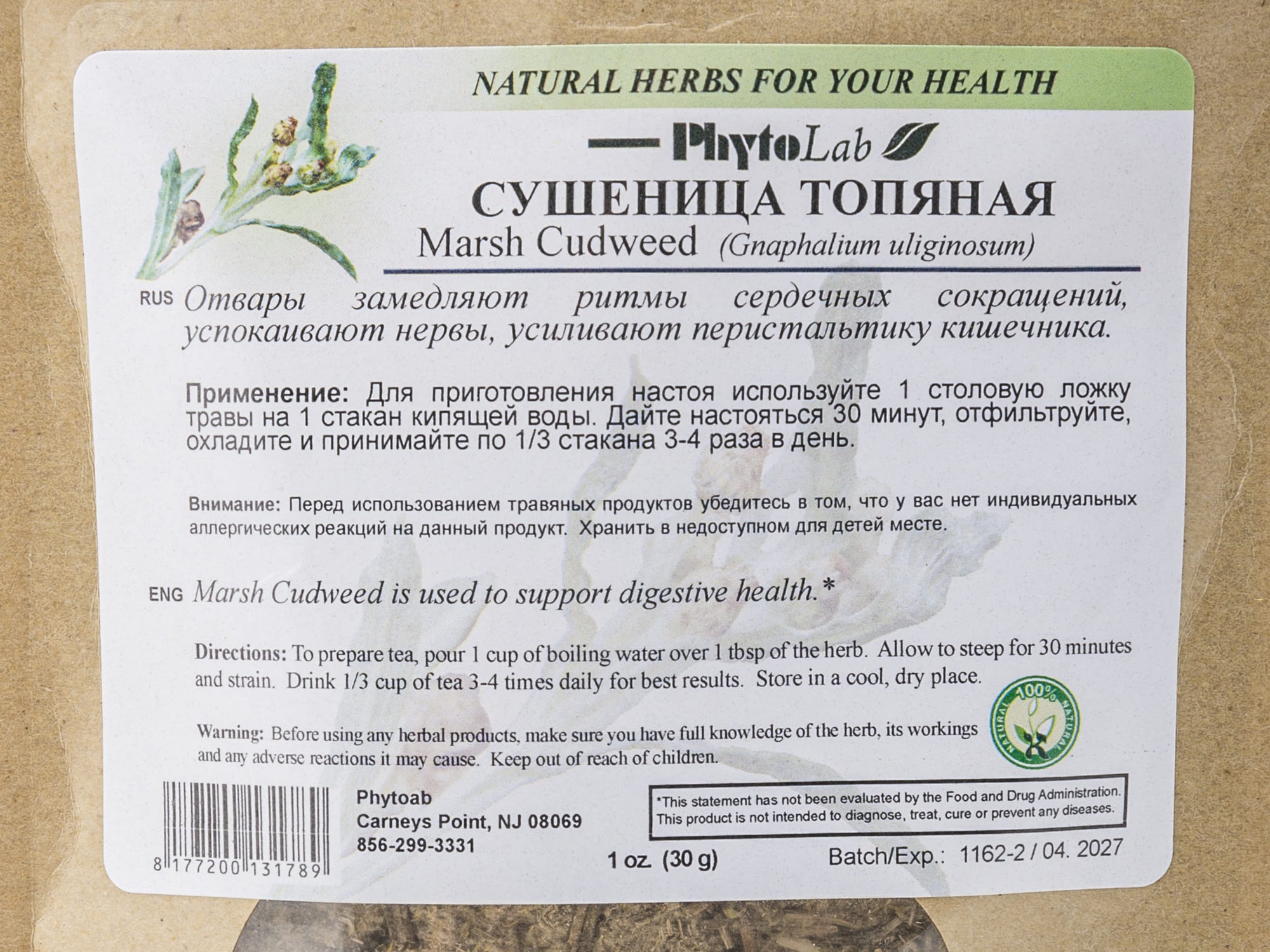 Marsh Cudweed