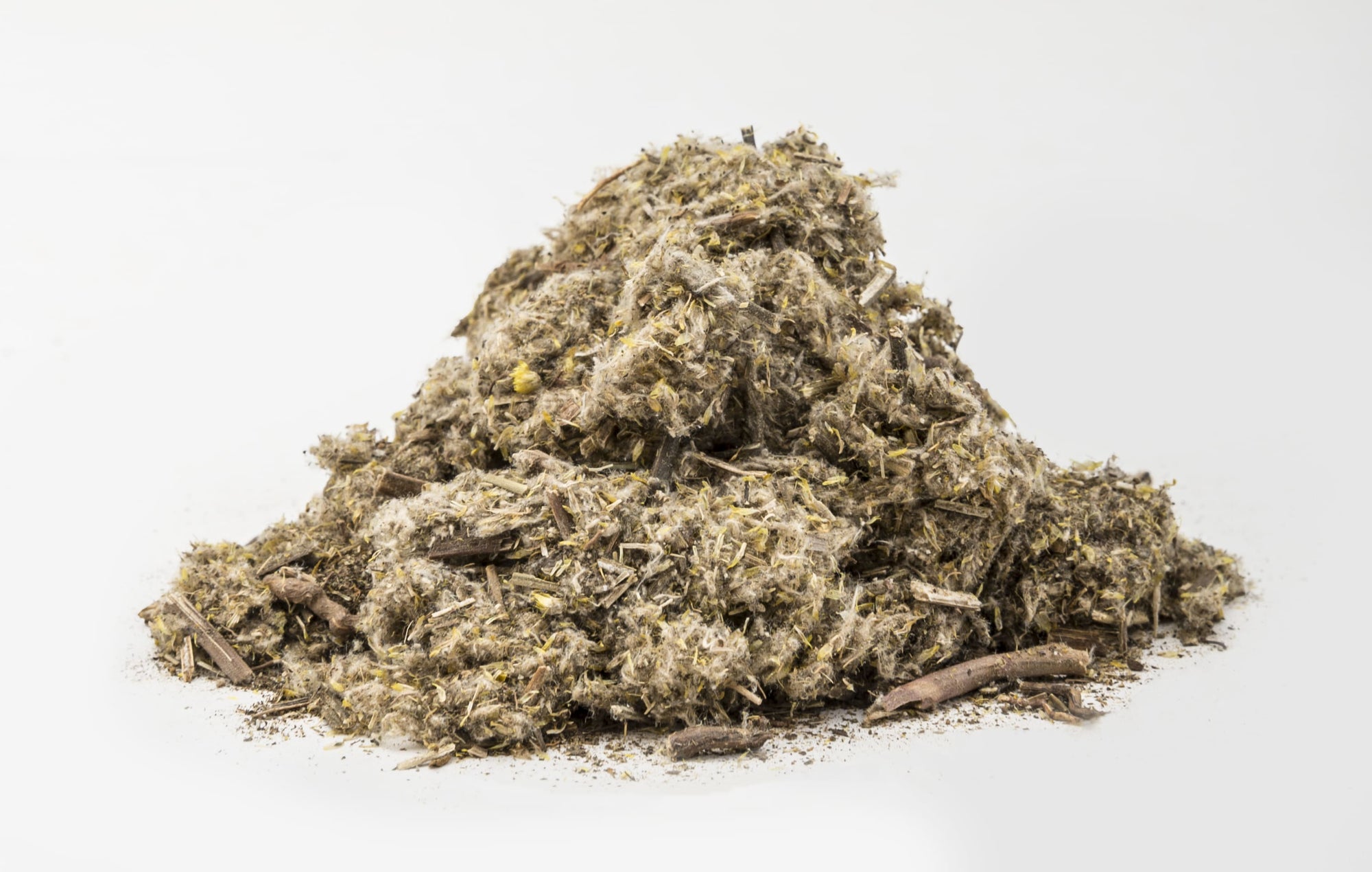 Marsh Cudweed