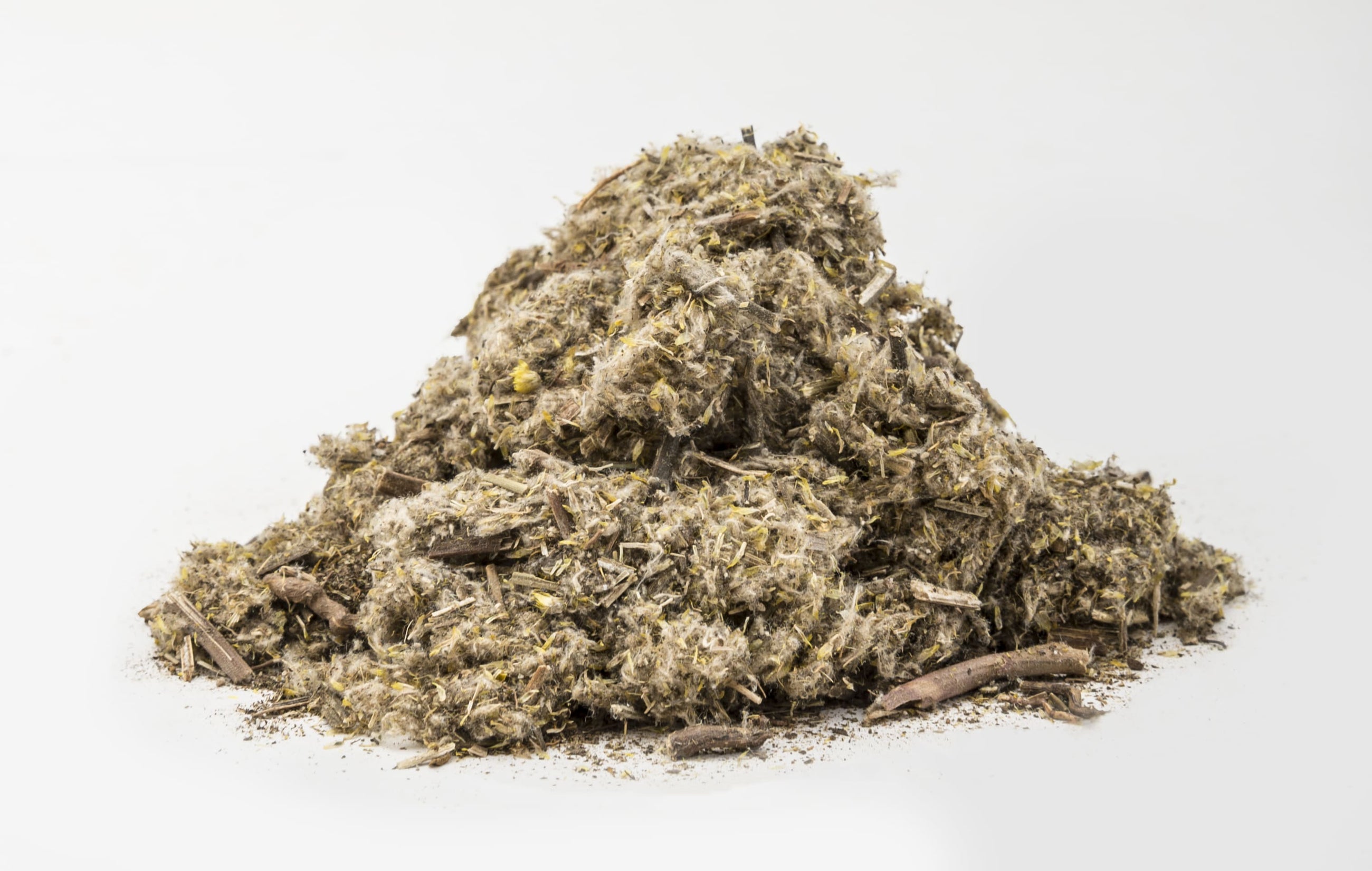 Marsh Cudweed
