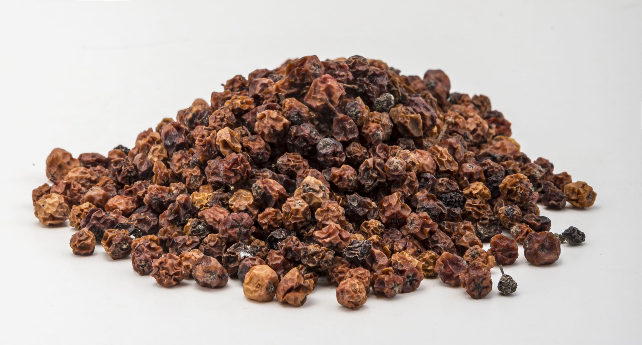 Mountain Ash Berry