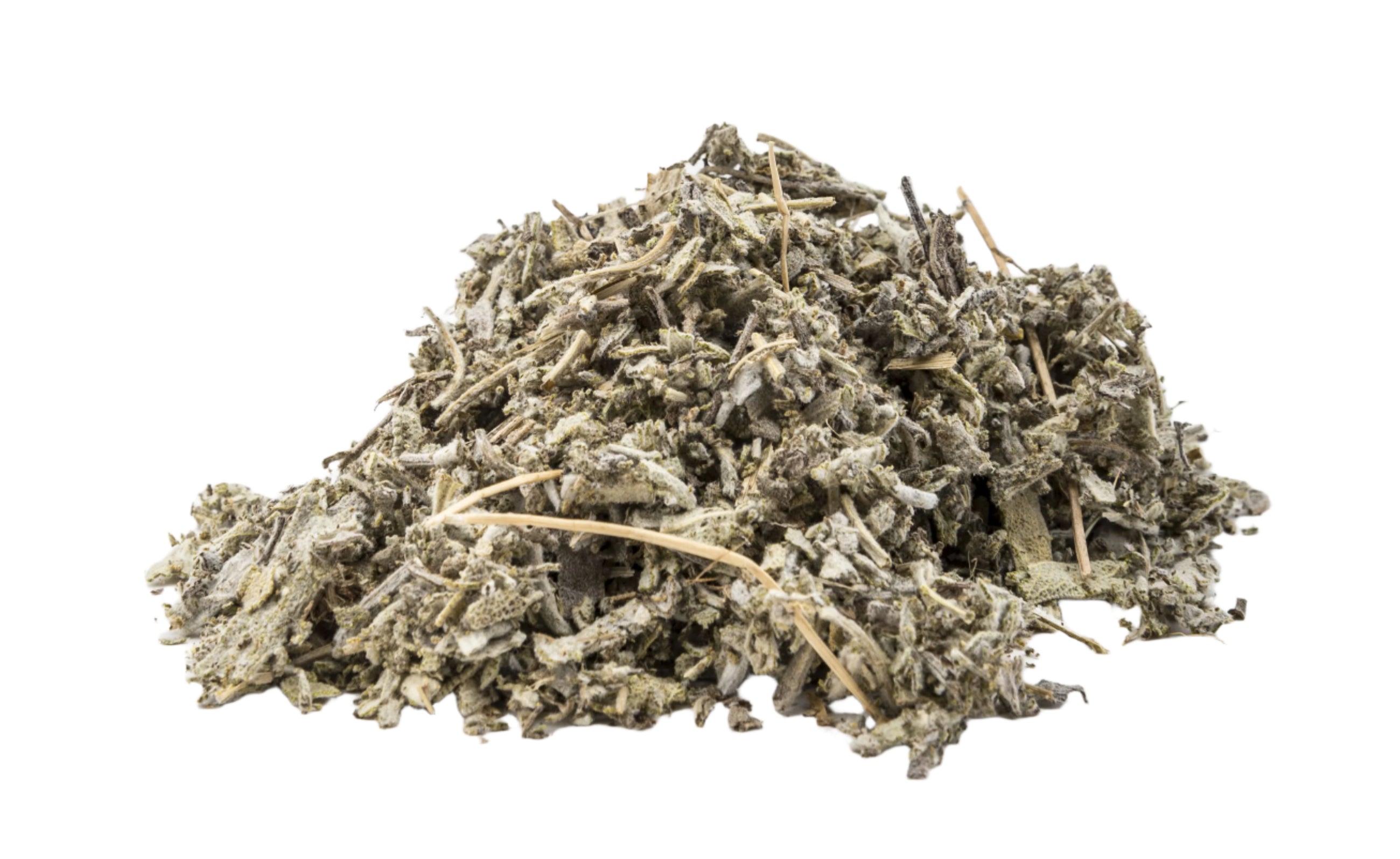 Sage Herb