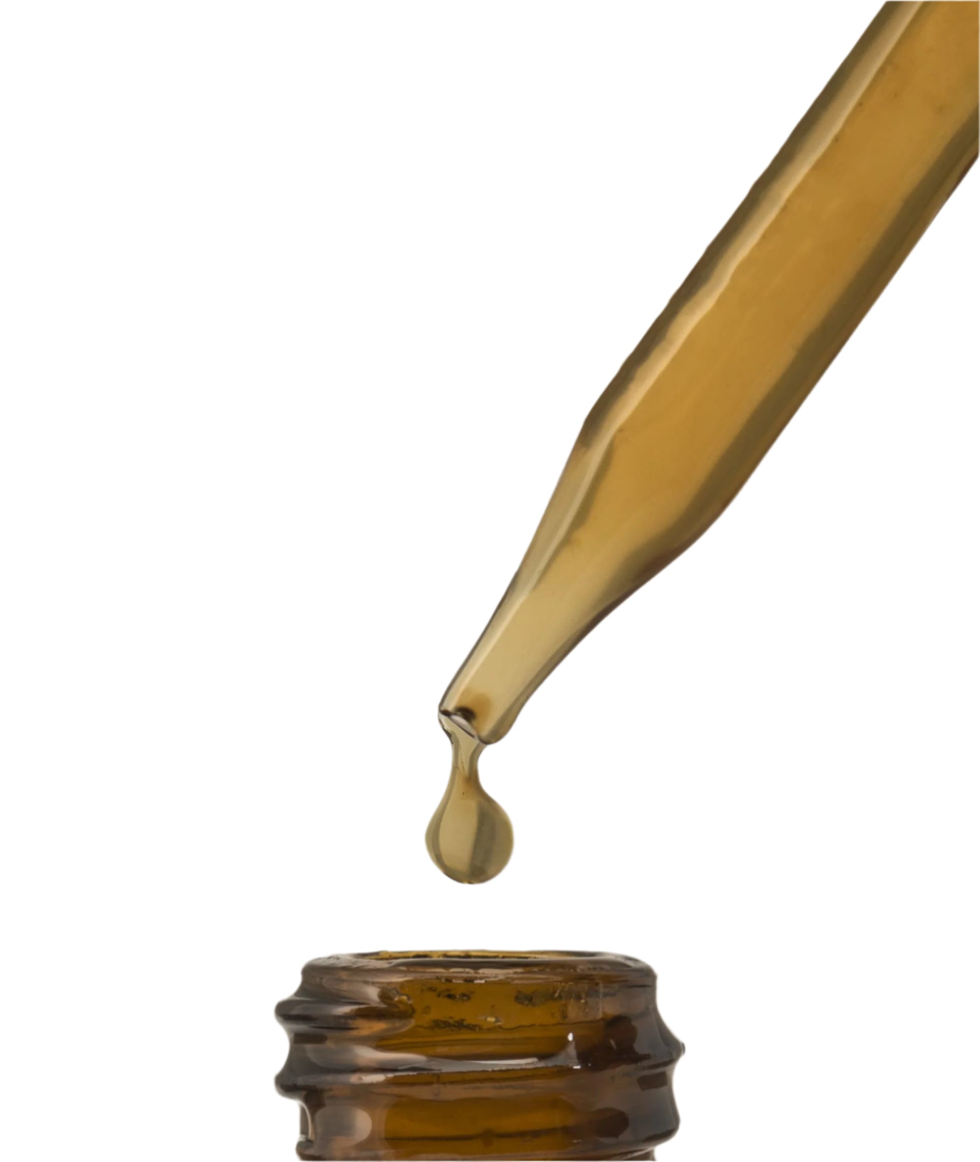 St. John's Wort Tincture
