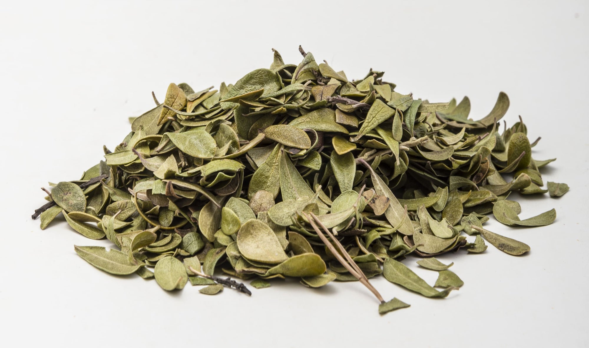 Uva-Ursi Leaf