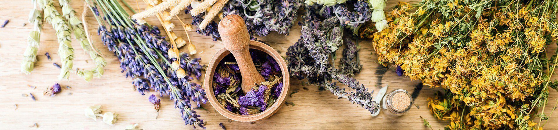 Traditional Herbal Remedies for Common Illnesses Pt. 1