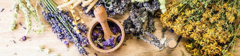 Traditional Herbal Remedies for Common Illnesses Pt. 1