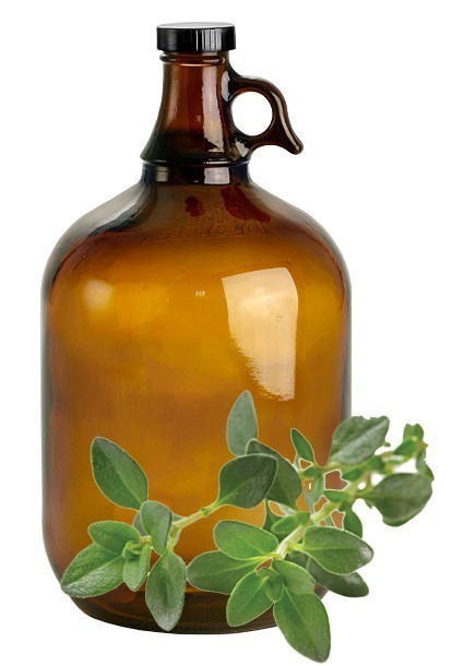 Thyme image 0