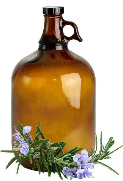 Rosemary image 0