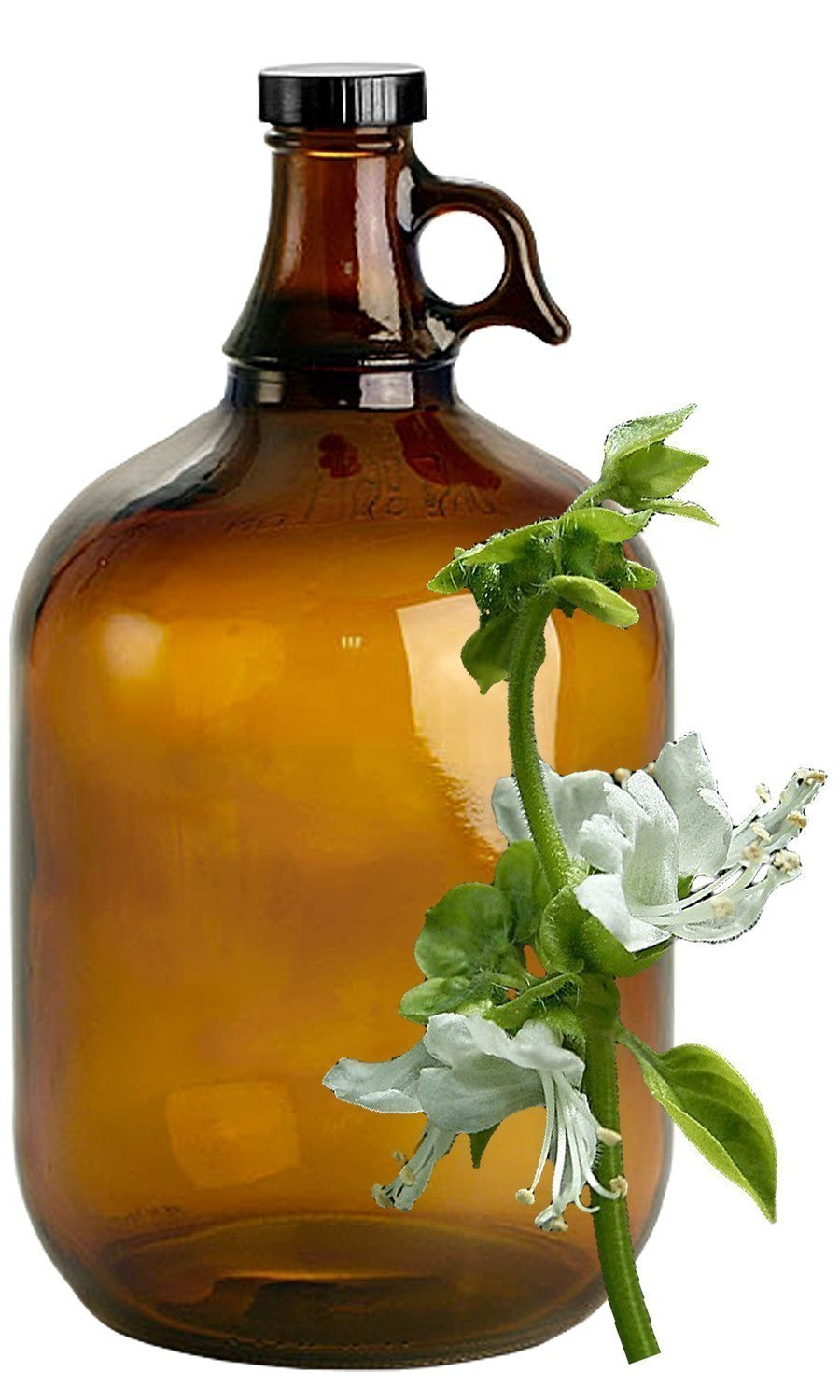 Basil image 0