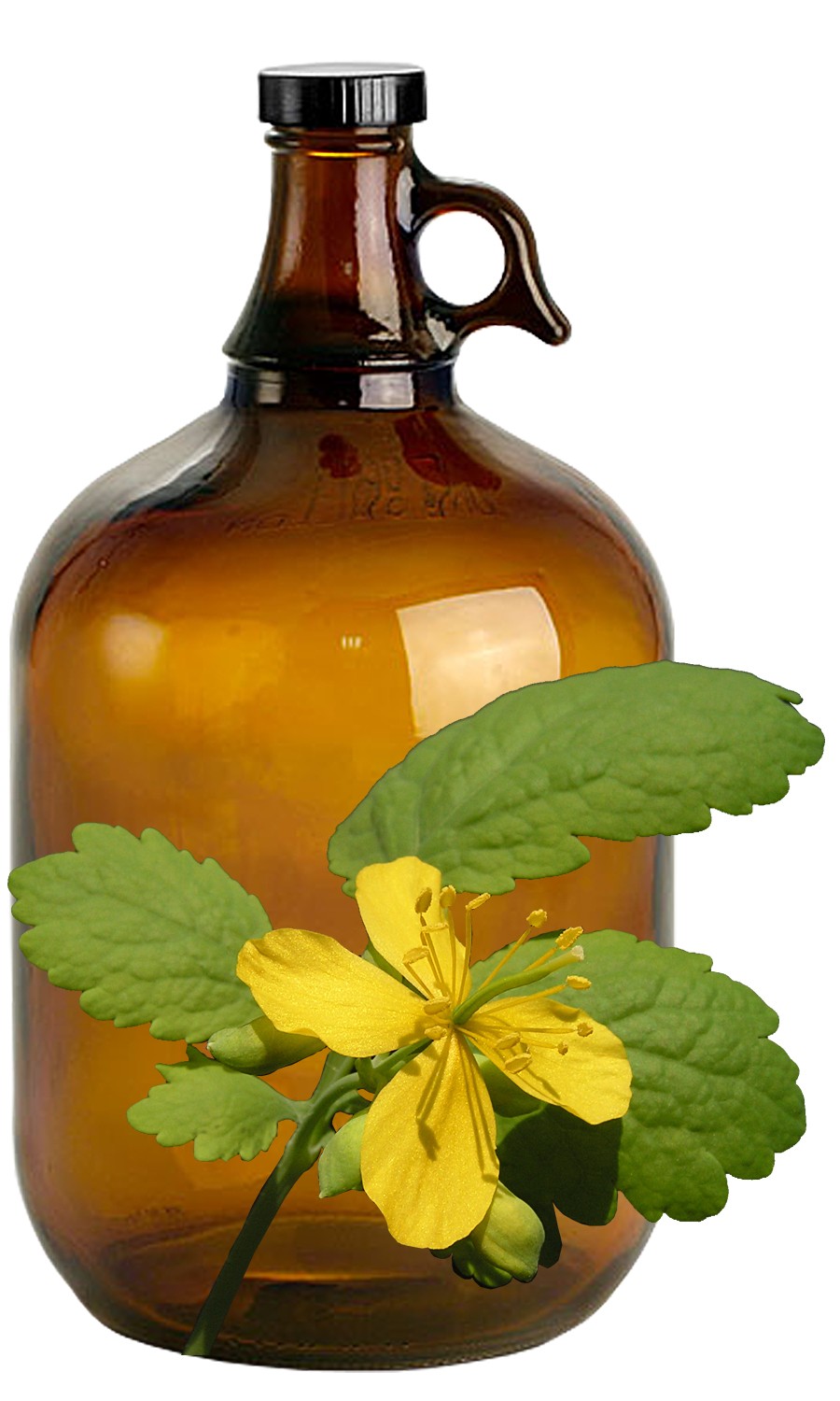 Celandine image 0