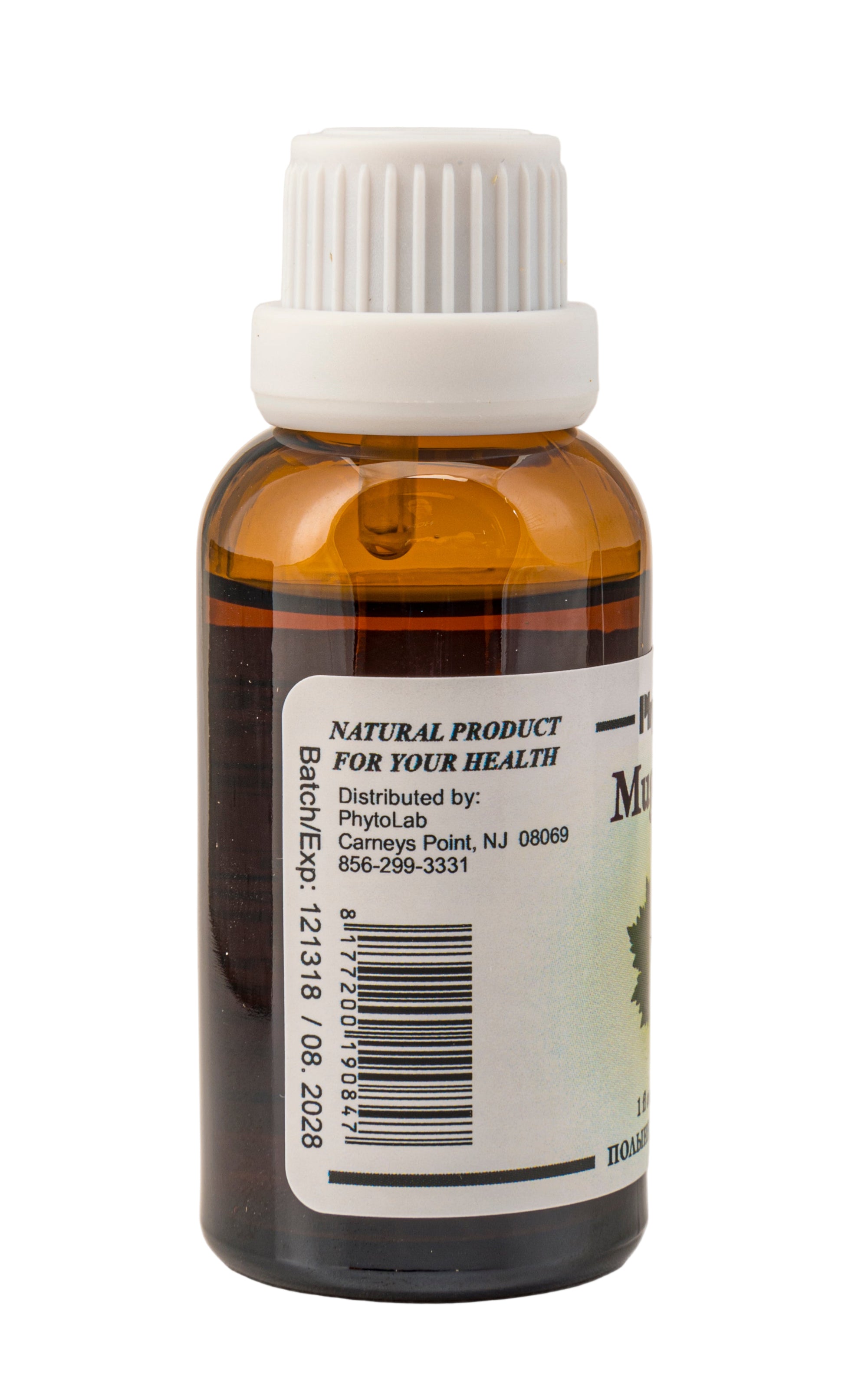 Mugwort Tincture