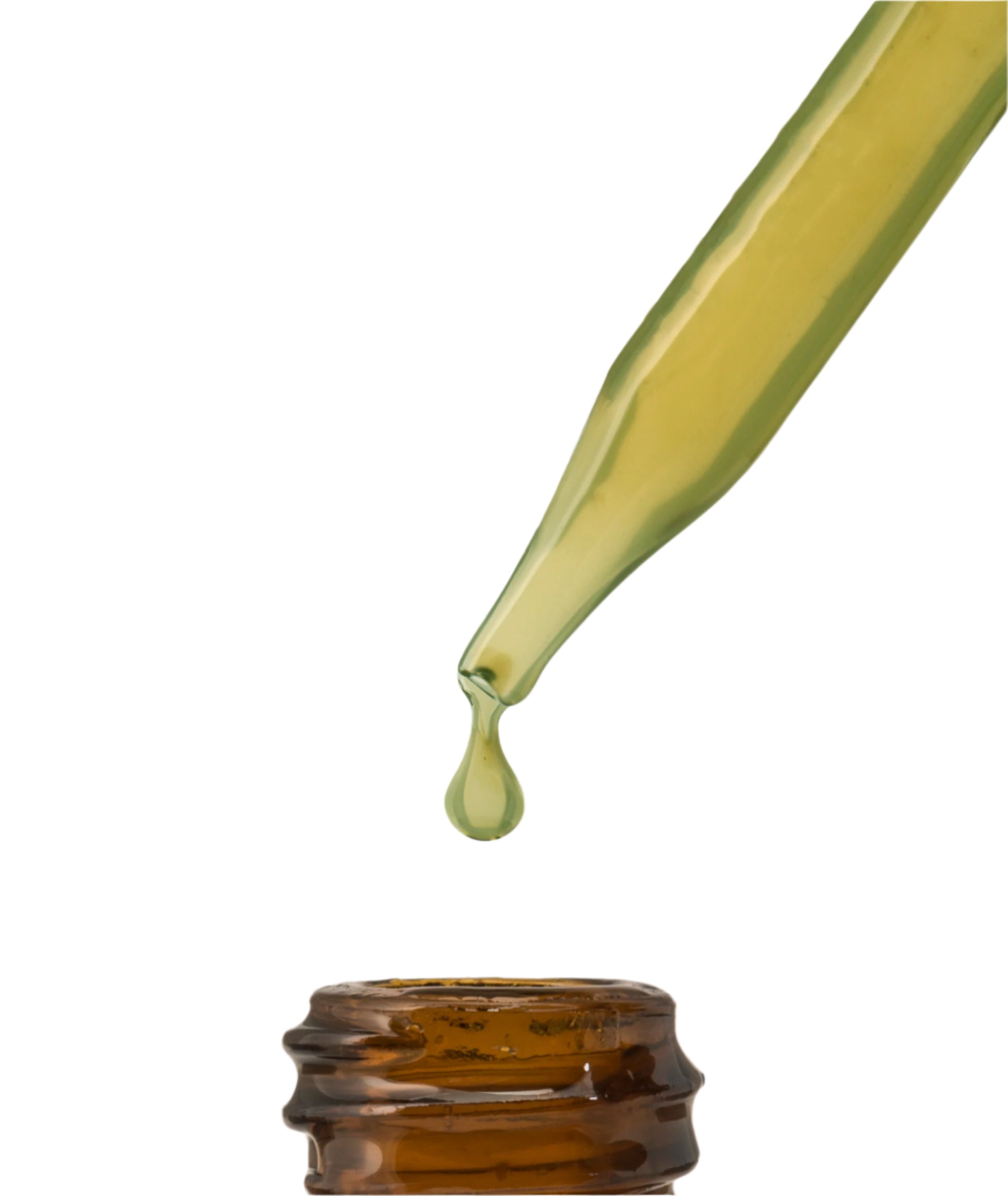 Celandine Tincture