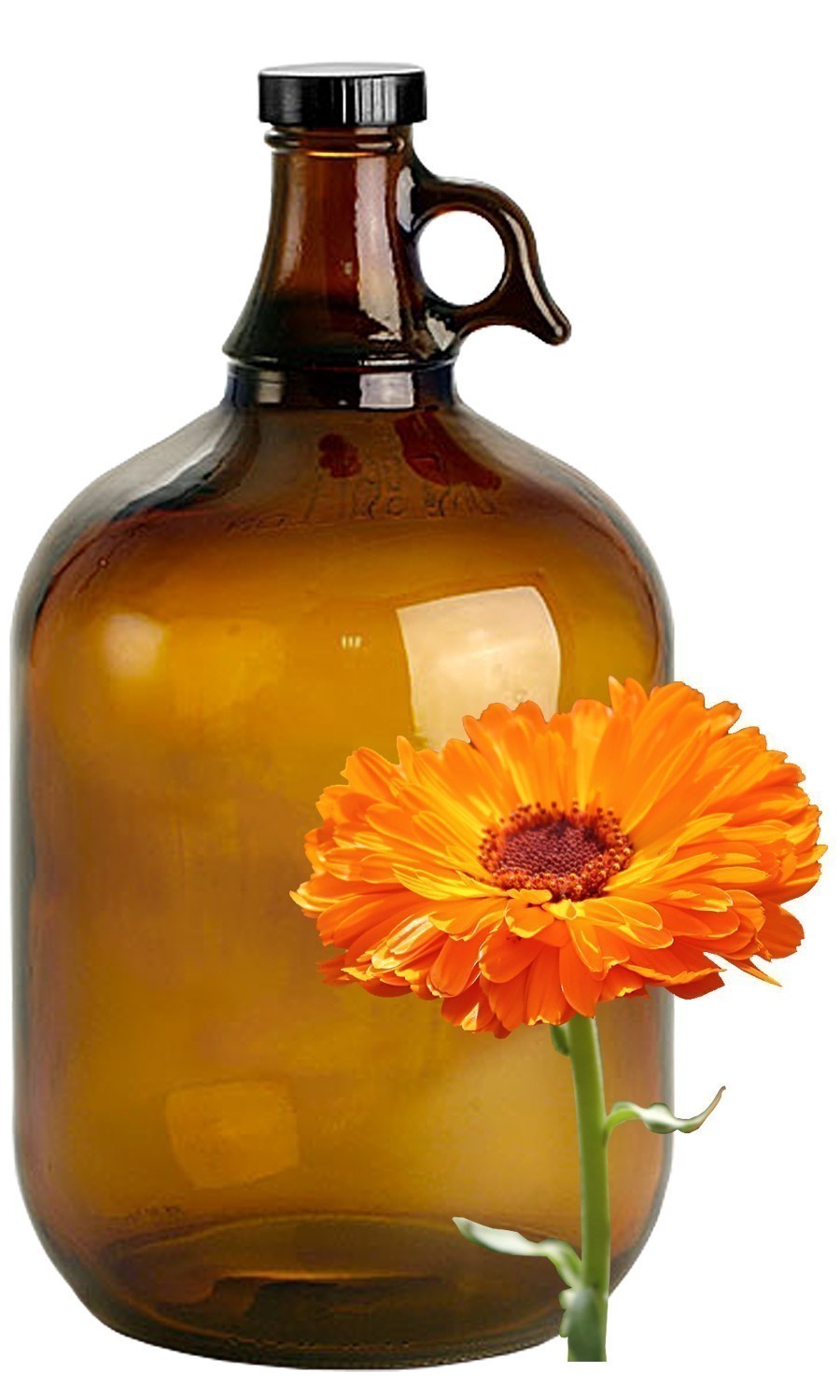 Calendula image 0