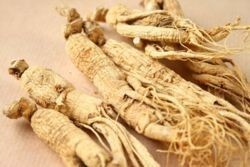 Siberian Ginseng Root image 0