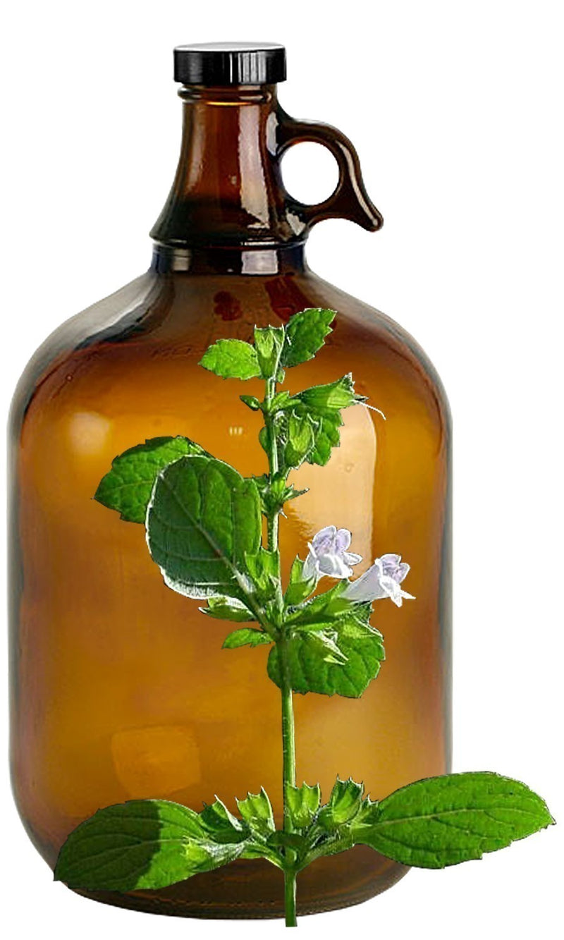 Lemon Balm image 0