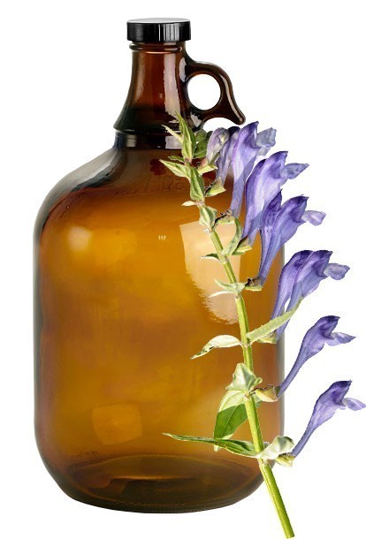 Skullcap image 0