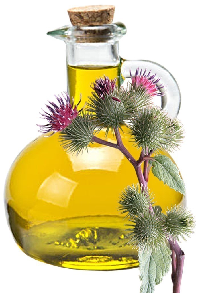 Burdock Oil image 0