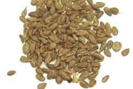 Anise Seed image 0