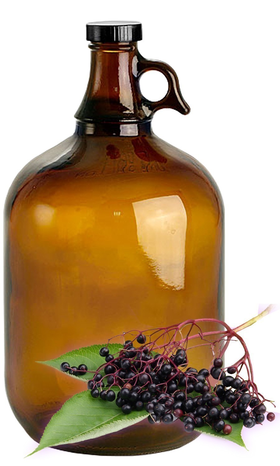 Elderberry image 0