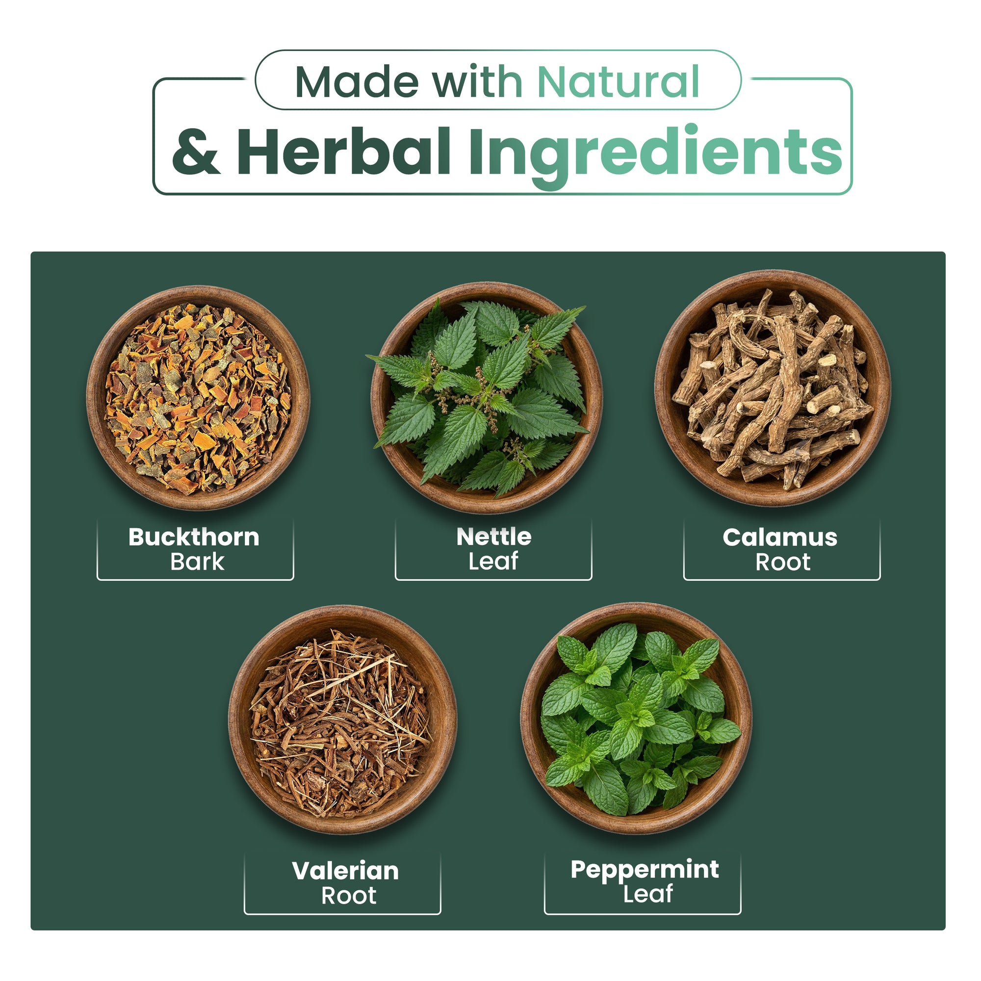 Digestion Support Tea - 20 Tea Bags - Herbal Tea for Healthy Digestion & Digestive Comfort