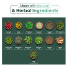 Immune Support Tea - 20 Tea Bags - Herbal Tea for Immune Defense & Daily Vitality