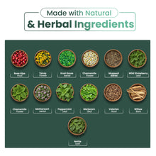 Immune Support Tea - 20 Tea Bags - Herbal Tea for Immune Defense & Daily Vitality