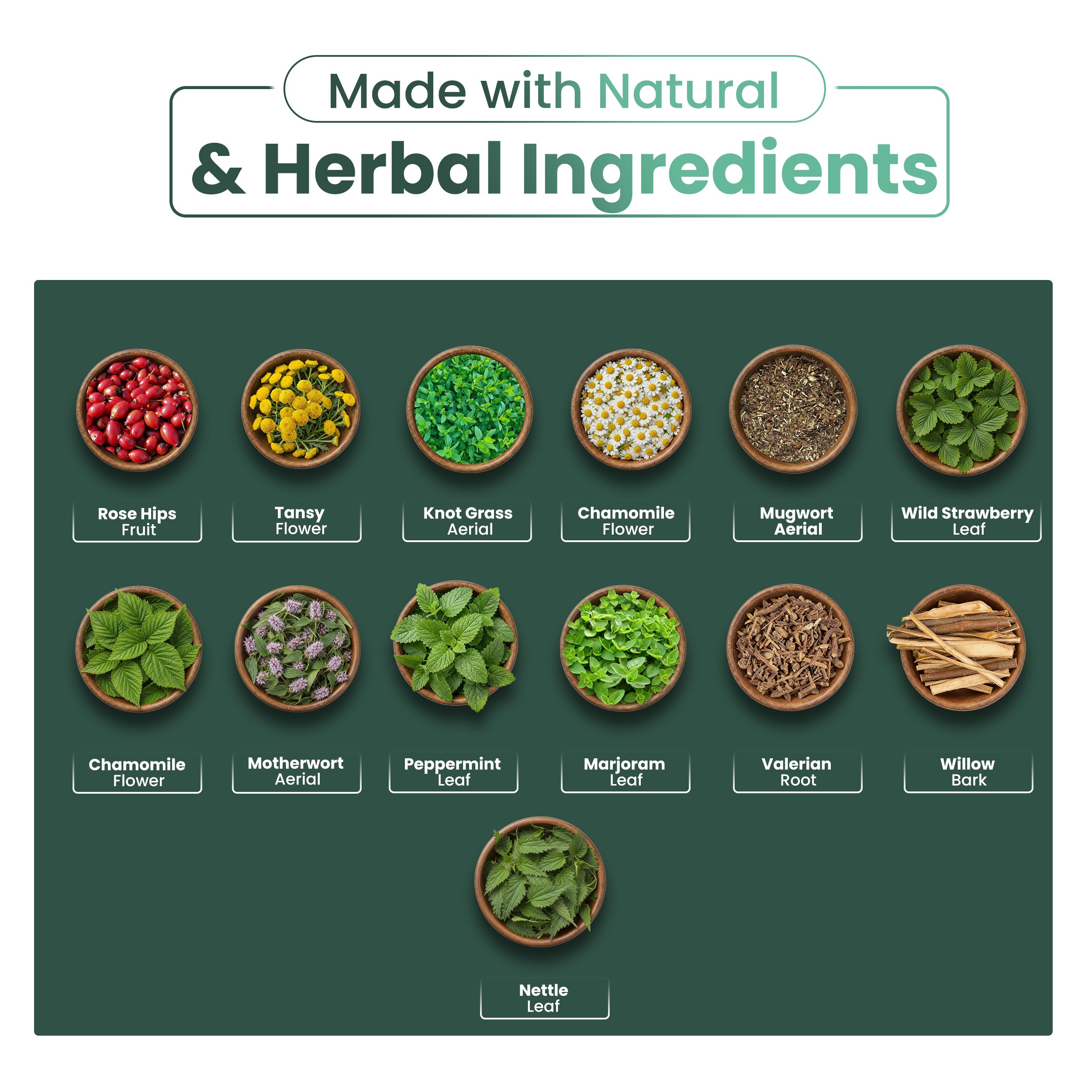 Immune Support Tea - 20 Tea Bags - Herbal Tea for Immune Defense & Daily Vitality