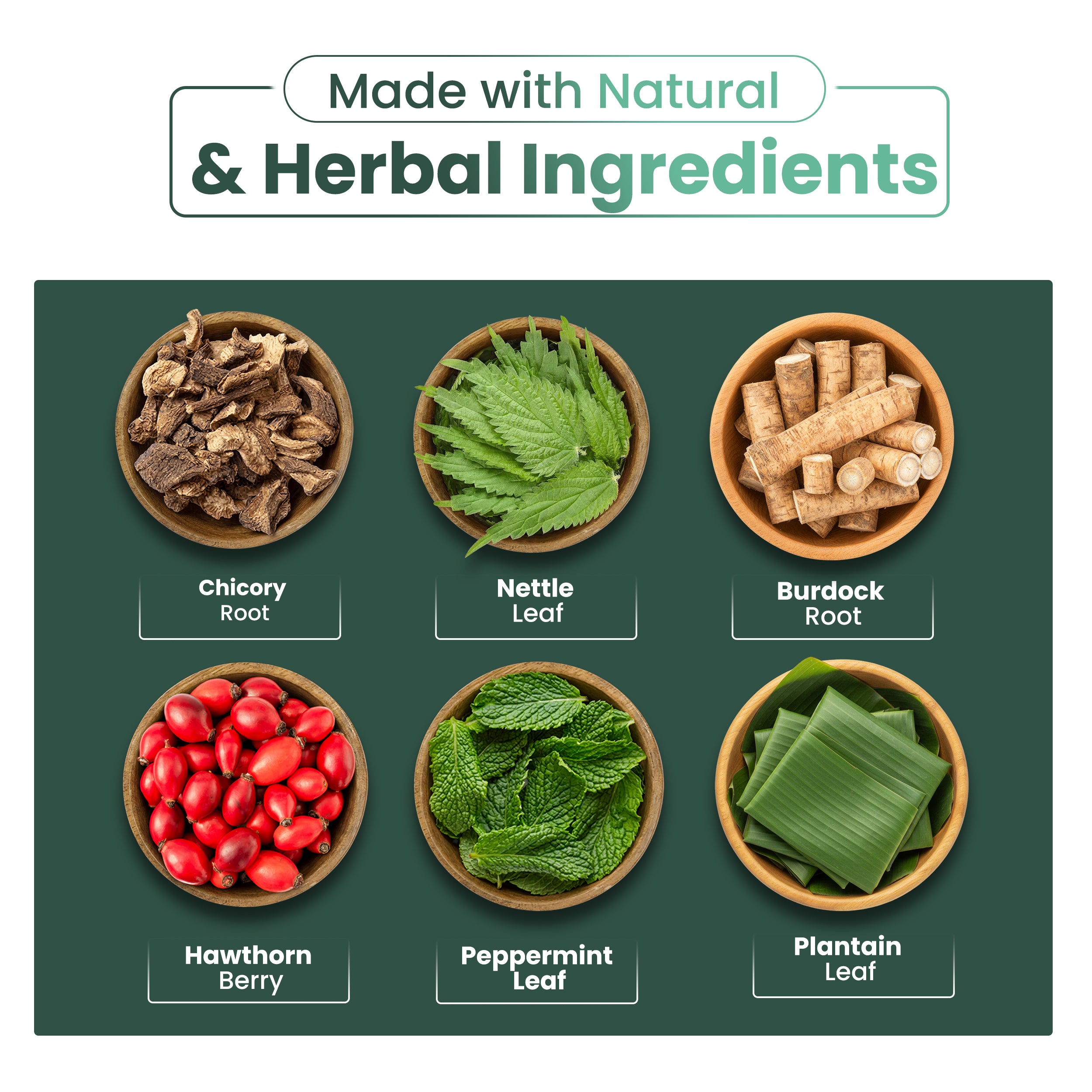 Blood Sugar Defense Capsules - 60 Capsules -Herbal Capsules for Healthy Blood Sugar Metabolism & Reduce Sugar Cravings