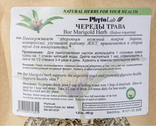 Bur Marigold Herb 4oz