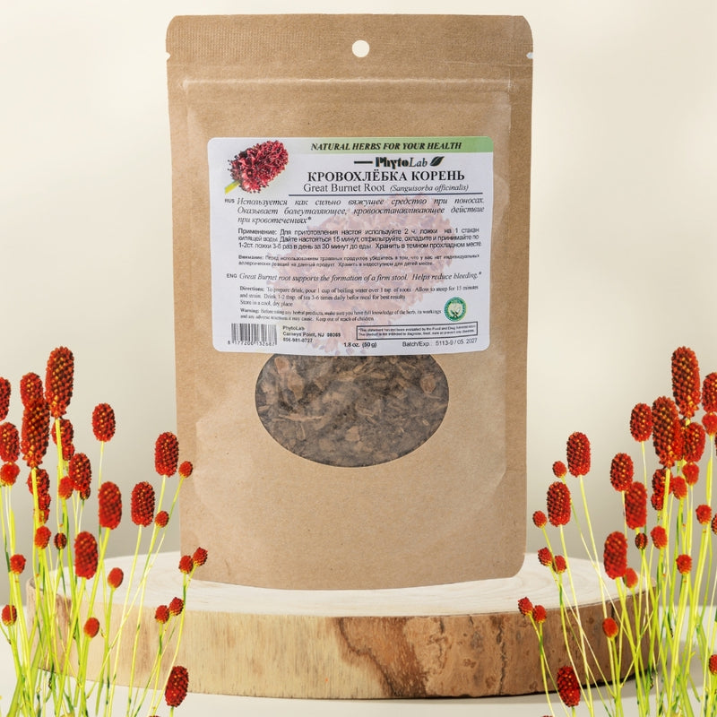 Great Burnet Root