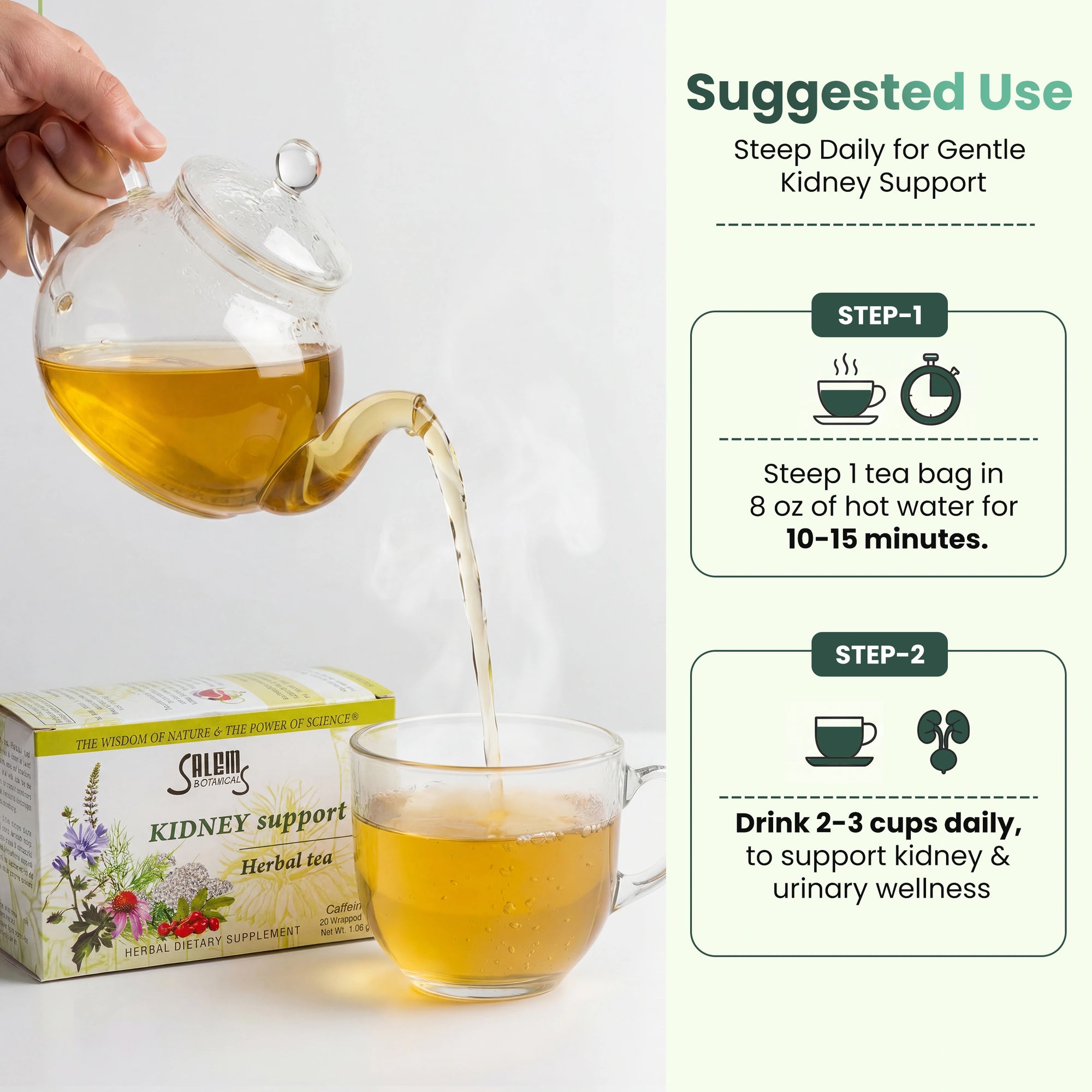 Kidney Support Tea - 20 Tea Bags - Herbal Tea for  Kidney & Urinary Health Support