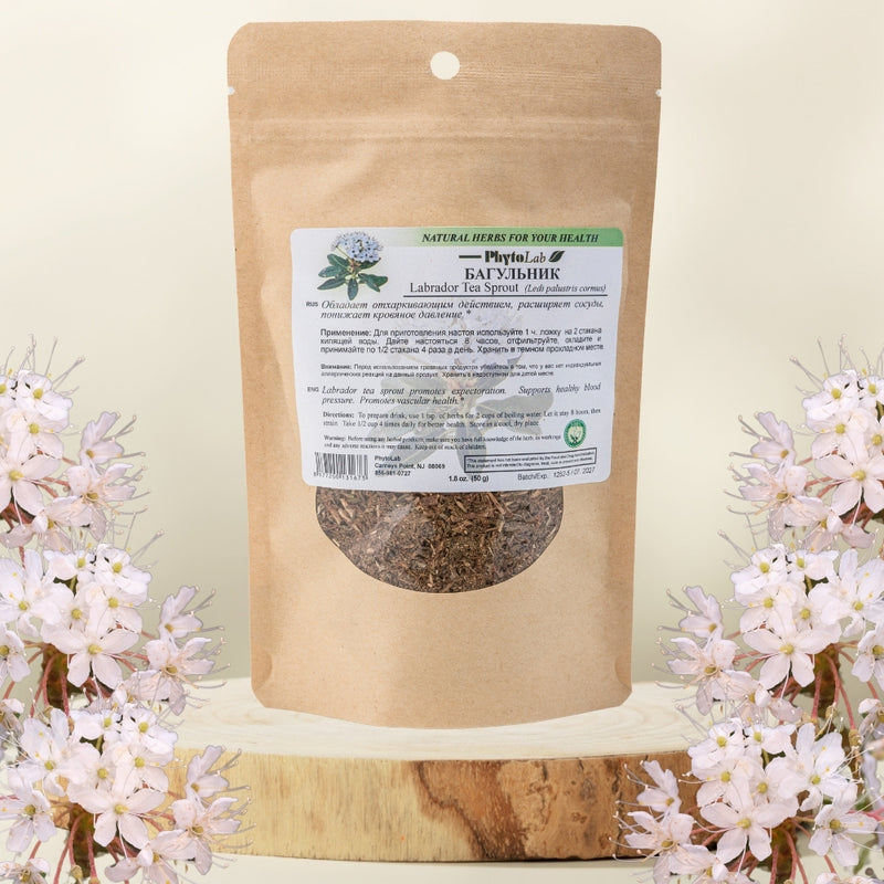 Labrador Tea Sprout