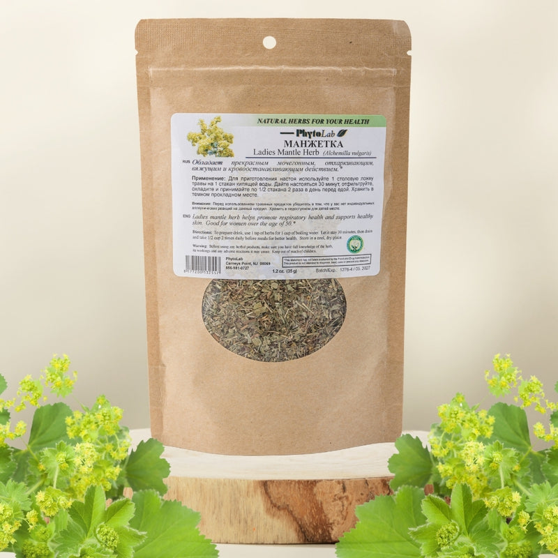 Lady's Mantle Herb