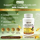 Milk Thistle Oil Liquid Capsules - 90 Liquid Capsules - Herbal Liquid Capsules for Liver Detox & Antioxidant Support