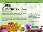 Hawthorn Berry