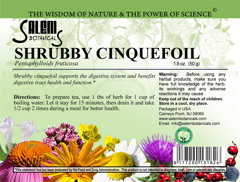Shrubby Cinquefoil