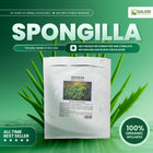 Spongilla