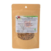 Marsh Cinquefoil Root